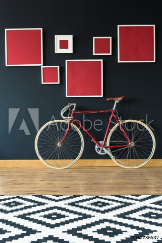Picture of Bike in apartment